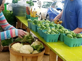 Local Produce: An easy find in Beaufort, SC