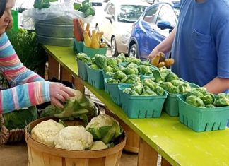Local Produce: An easy find in Beaufort, SC