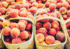 S.C. Peaches: A taste of summer in the Lowcountry S.C. Peaches: A taste of summer in the Lowcountry