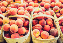 S.C. Peaches: A taste of summer in the Lowcountry S.C. Peaches: A taste of summer in the Lowcountry