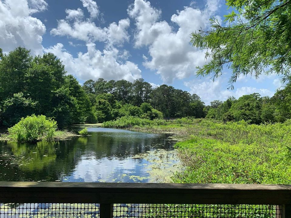 Seven fantastic spots to reconnect with nature in Beaufort SC