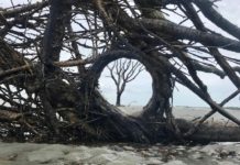7 fantastic spots to reconnect with nature in Beaufort SC