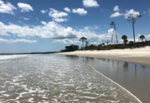 Hunting Island south beach closed until Friday Hunting Island south beach closed until Friday