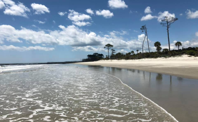 Hunting Island south beach closed until Friday