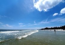 Hunting Island’s south beach reopens for weekend Hunting Island's south beach reopens for weekend