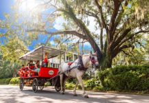 Sea Island Carriage Company recognized by TripAdvisor