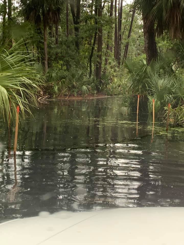 Flooding closes Hunting Island, again