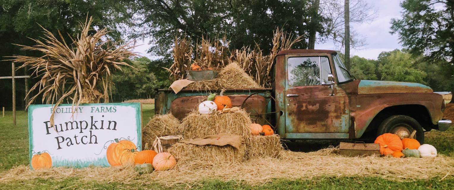 Holiday Farms to kick off season October 2nd