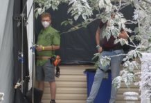 Movie extras sought for Hallmark Channel Christmas film