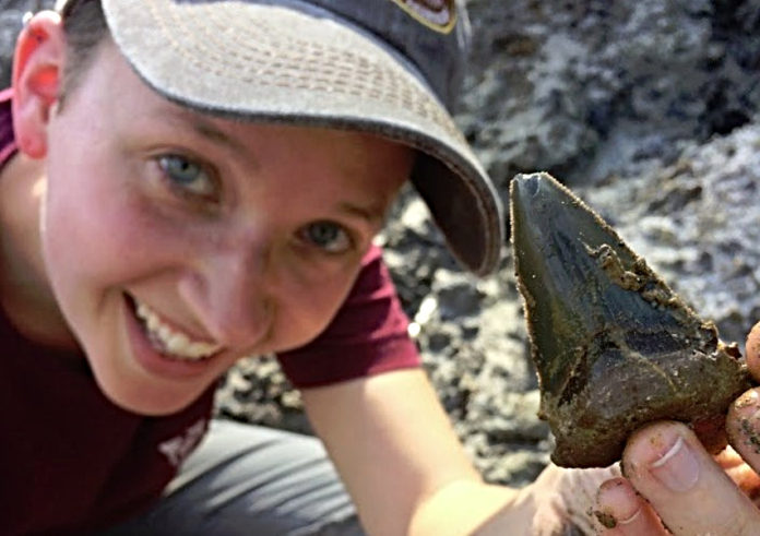 Ancient megashark nursery discovered in Lowcountry