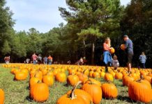 Holiday Farms kicks off fall season with fun