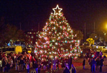 Beaufort cancels Christmas events, adds covid-safe activities Beaufort cancels Christmas events, adds covid-safe activities