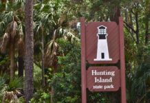 Free admission at Hunting Island on Black Friday