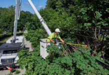 Locals question Dominion Energy tree trimming in Beaufort Locals question Dominion Energy tree trimming in Beaufort