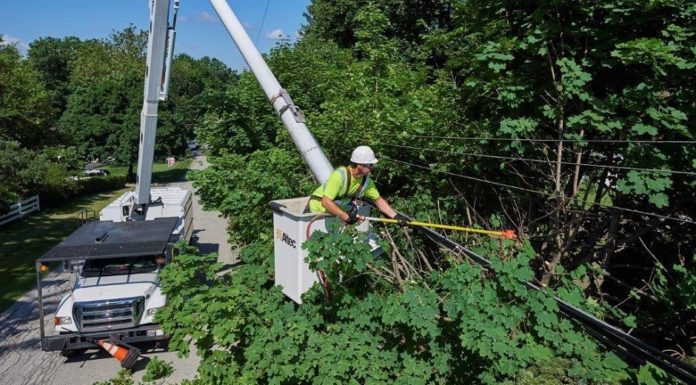 Locals question Dominion Energy tree trimming in Beaufort