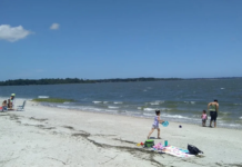 New Year’s Day Pirate Plunge coming to Sands Beach New Year's Day Pirate Plunge coming to Sands Beach