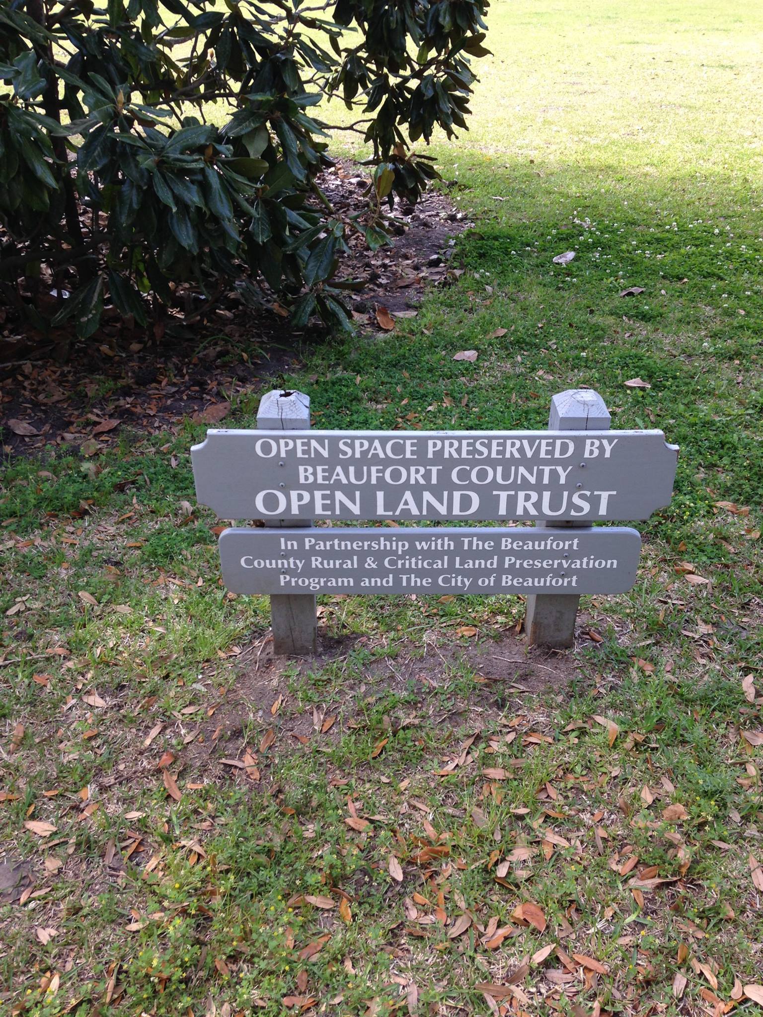 Celebrating 50 years of preservation: Beaufort County Open Land Trust