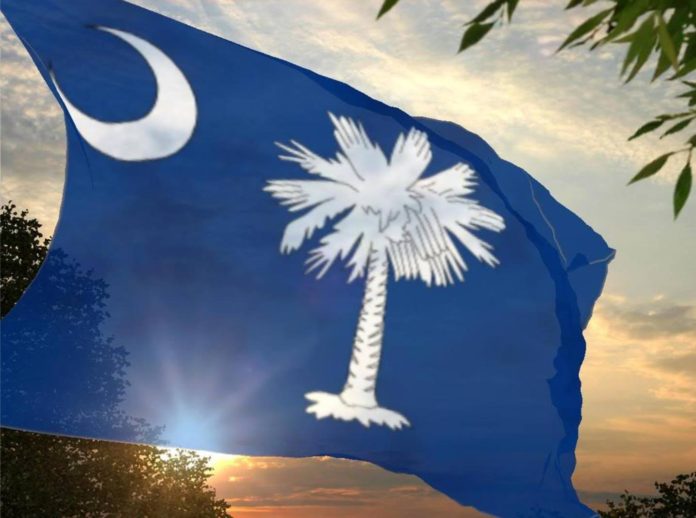 Palmetto State takes another crack at state flag redesign