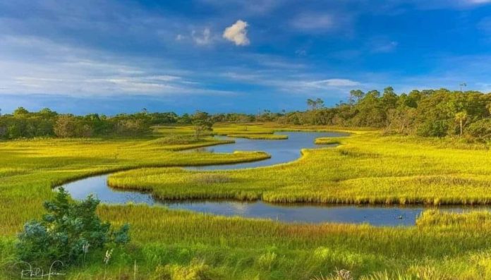 Celebrate Earth Day by cleaning up Beaufort's waterways