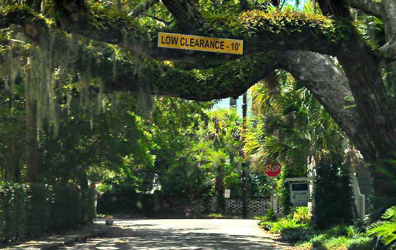 Explore the quirky side of Beaufort SC