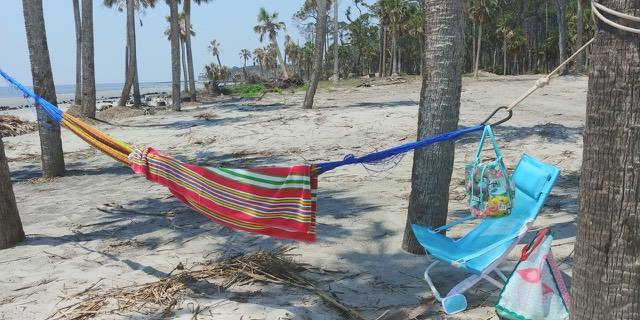 The beauty of camping at Hunting Island