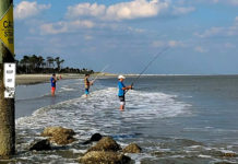 Saltwater fishing license fees increased in S.C. Saltwater fishing license fees increased in S.C.
