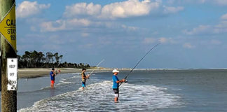 Saltwater fishing license fees increased in S.C. Saltwater fishing license fees increased in S.C.