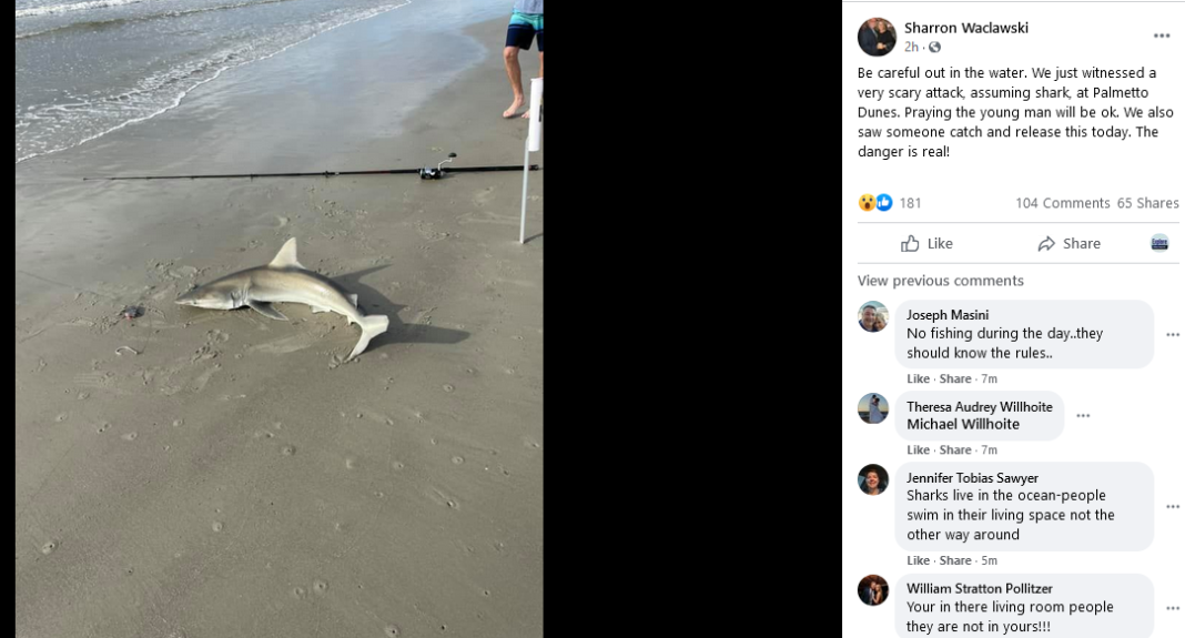 Hilton Head lifeguard suffers shark bite Explore Beaufort SC