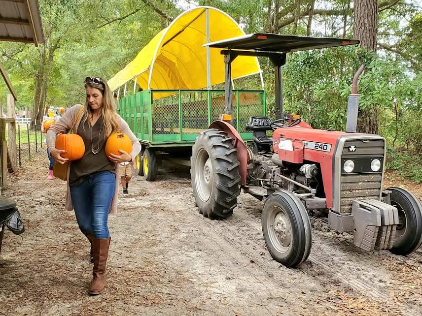 Holiday Farms to kick off season October 1st