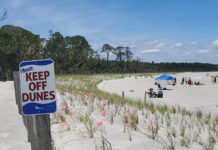 Hunting Island: The little barrier island that could Hunting Island: The little barrier island that could