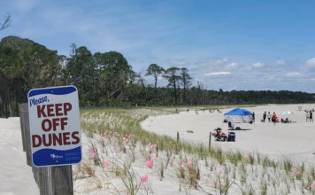 Hunting Island: The little barrier island that could Hunting Island: The little barrier island that could