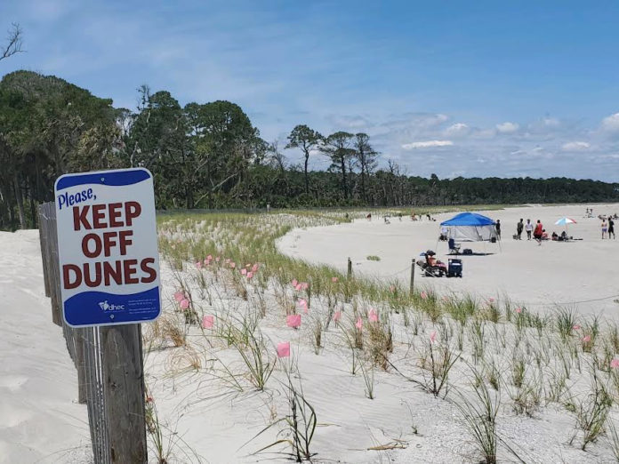 Hunting Island: The little barrier island that could