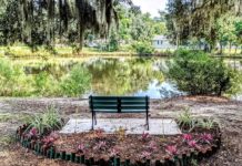 Popular Mossy Oaks duck pond gets upgrades Popular Mossy Oaks duck pond gets upgrades