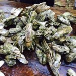 oysterroast