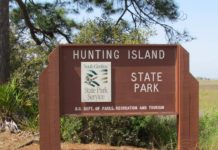 5 Reasons to visit Hunting Island in the winter 5 Reasons to visit Hunting Island in the winter