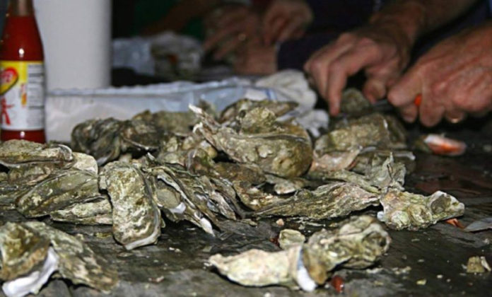 Oyster Festival coming to downtown Beaufort waterfront