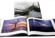 Wild Island Nature: Hunting Island beauty showcased in new book Wild Island Nature: Hunting Island beauty showcased in new book