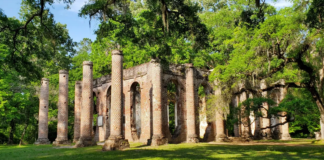 240 acres of land at Old Sheldon Church now protected forever 240 Acres of land at Old Sheldon Church now protected forever