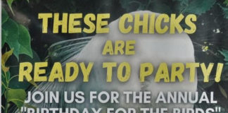 Birthday for the Birds at Port Royal Cypress Wetlands