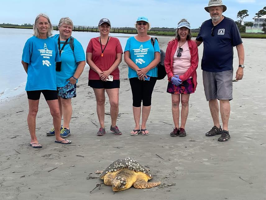 Stranded loggerhead sea turtle rescued at Pritchard's Island