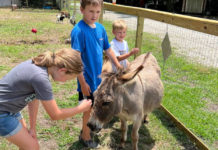 New petting zoo opening in Beaufort this weekend New petting zoo opening in Beaufort this weekend