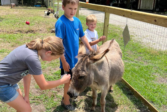 New petting zoo opening in Beaufort this weekend