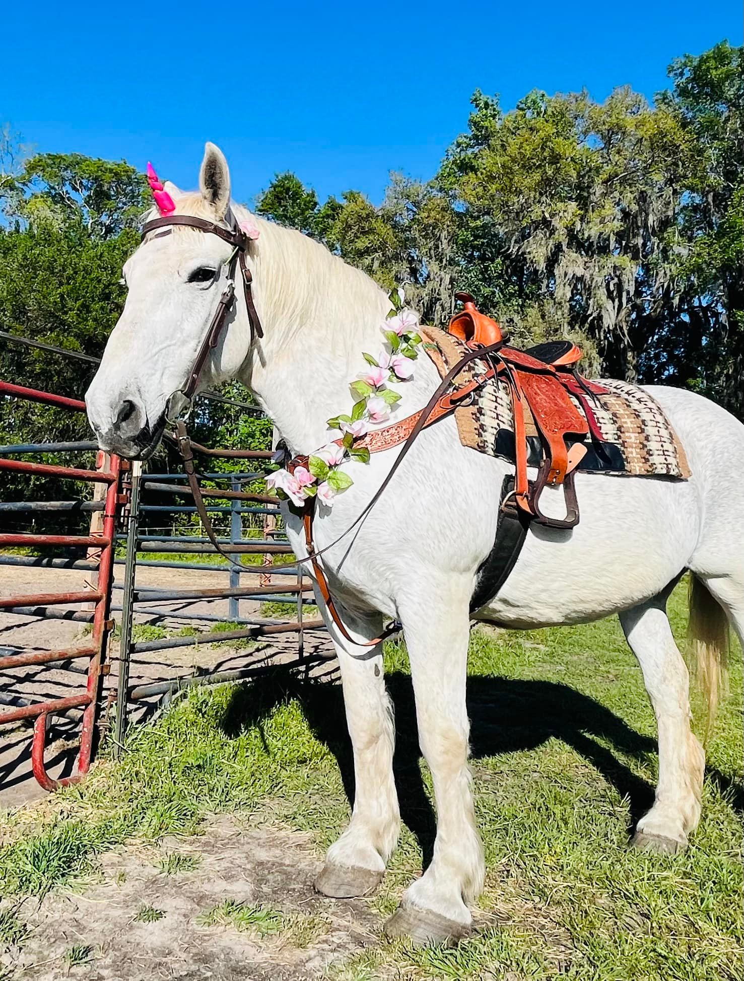 New petting zoo opening in Beaufort this weekend