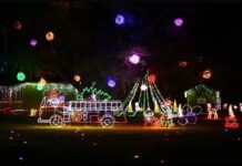 Lowcountry Christmas light display helps local families in need Lowcountry Christmas light display helps local families in need