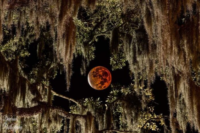 Total lunar eclipse coming to Lowcountry next week