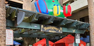 Hemingway’s, Panini’s to host Community Christmas dinner Hemingway’s, Panini’s to host annual Orphans & Strays free Christmas dinner