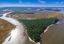 Developer wants golf course and resort on St. Helena Island; Penn Center says no Developer wants golf course and resort on St. Helena Island; Penn Center says no