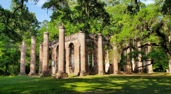 752 acres of land at Old Sheldon Church now protected forever