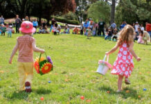 Easter egg hunts and Easter bunny sightings across Beaufort Egg hunts and Easter bunny sightings across Beaufort