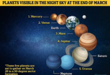 Five planets to line up in the night sky this week Five planets to line up in the night sky this week